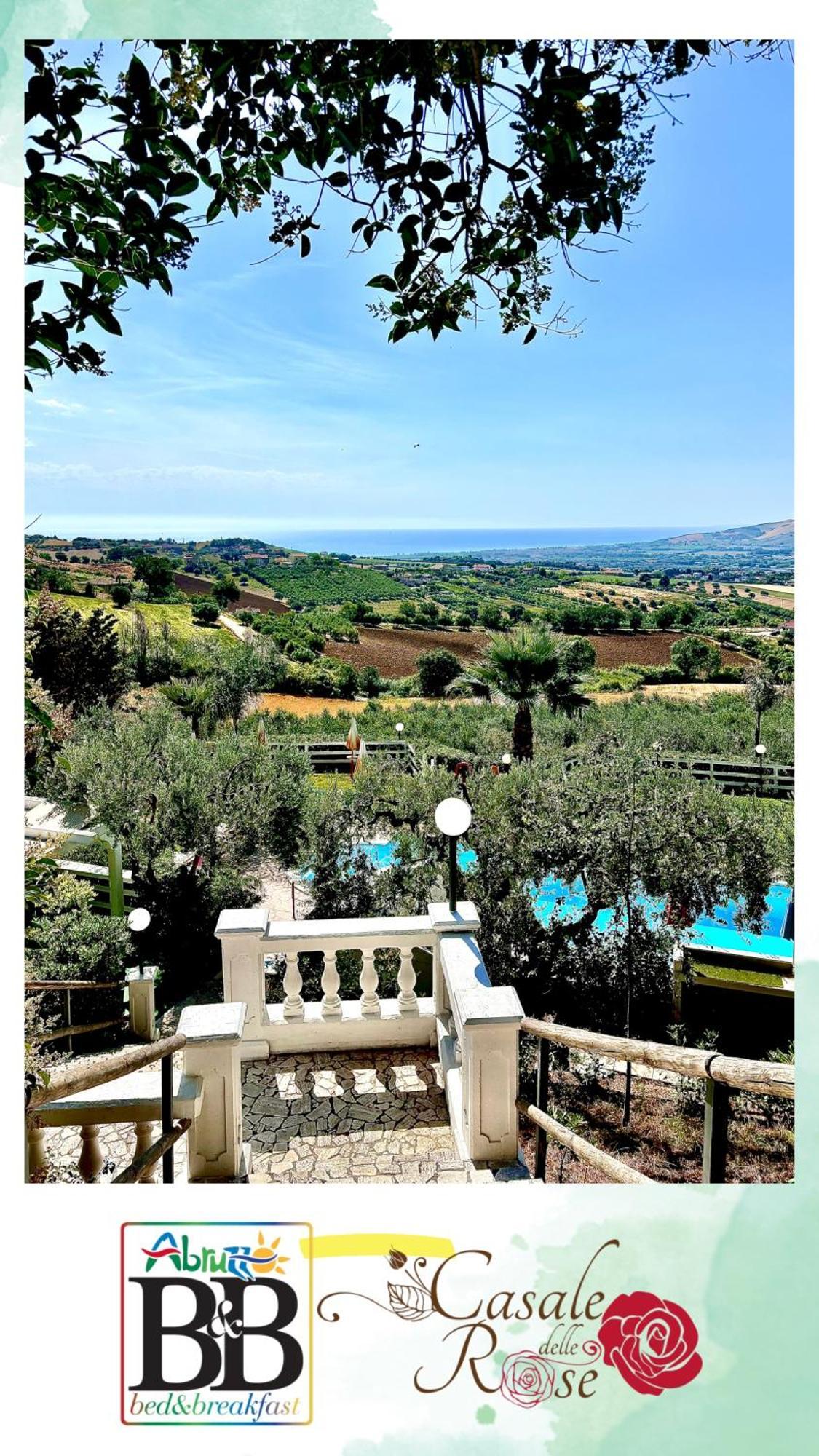 Casale Delle Rose B&B Fattoria Montepagano Zewnętrze zdjęcie