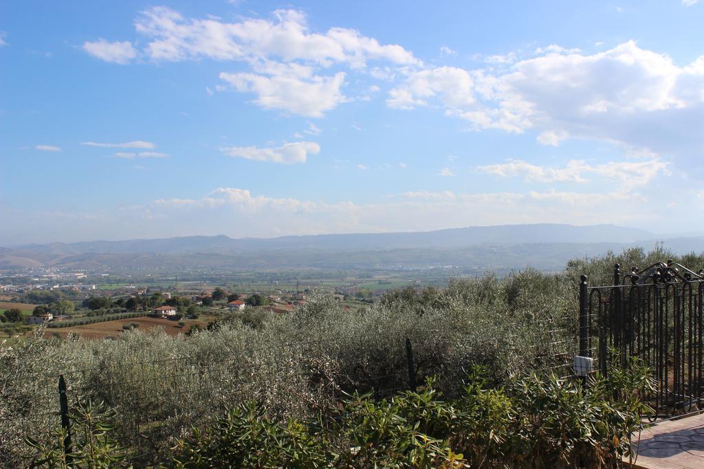 Casale Delle Rose B&B Fattoria Montepagano Zewnętrze zdjęcie